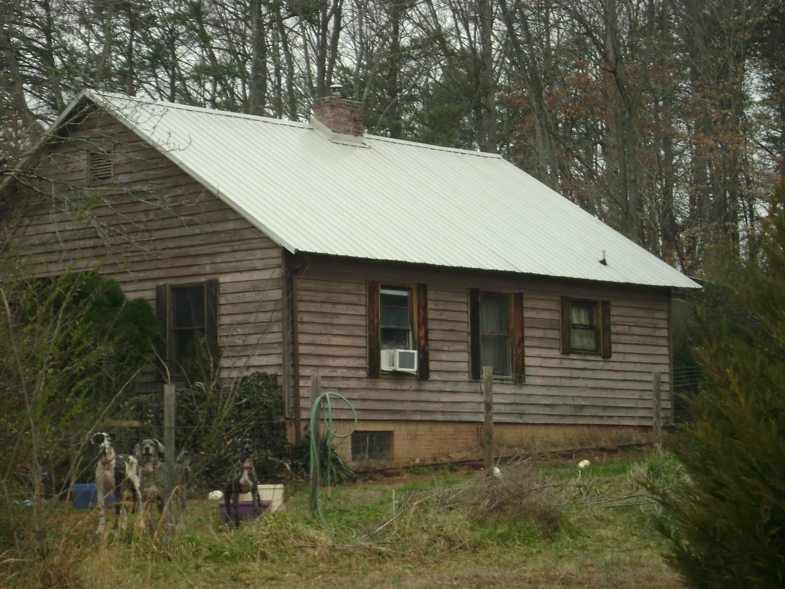White metal roof on an old wood sided farmhouse, from a Asphalt Shingle Roof Repair job in Pacific